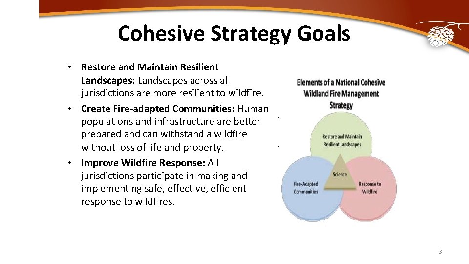 Cohesive Strategy Goals • Restore and Maintain Resilient Landscapes: Landscapes across all jurisdictions are