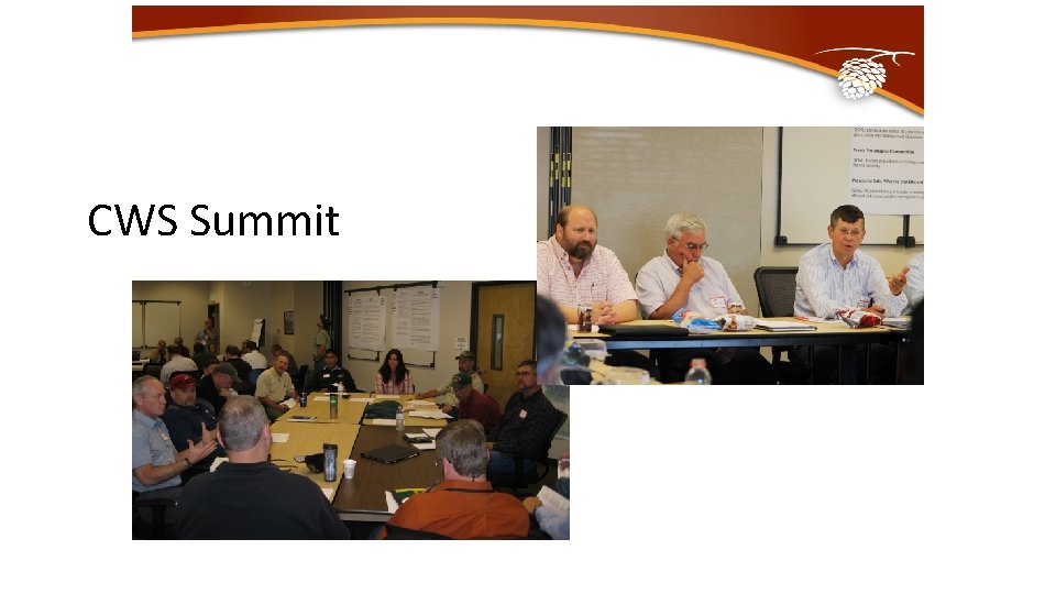 CWS Summit 