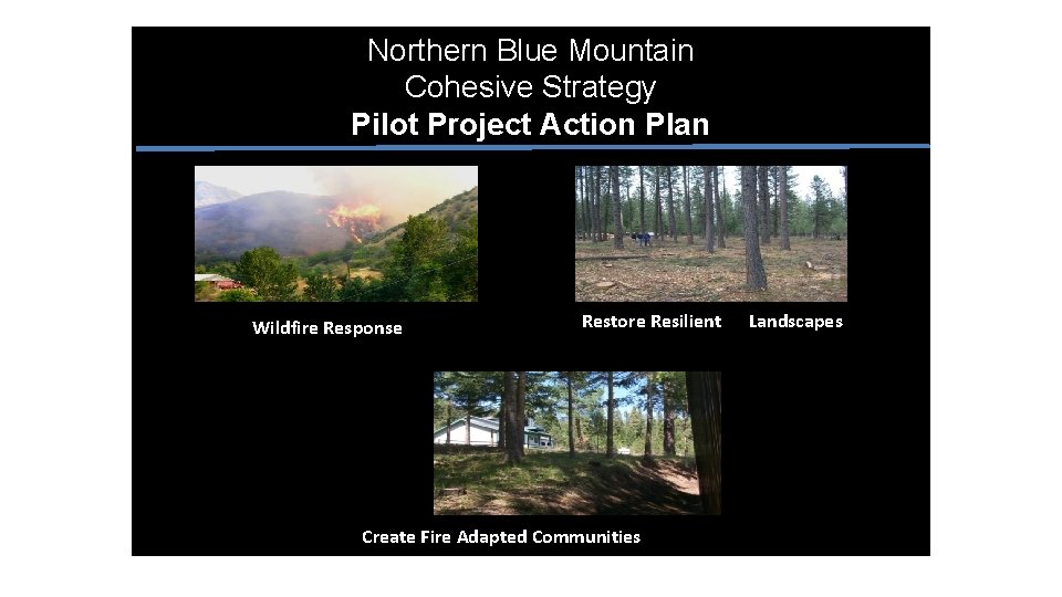 Northern Blue Mountain Cohesive Strategy Pilot Project Action Plan Wildfire Response Restore Resilient Create