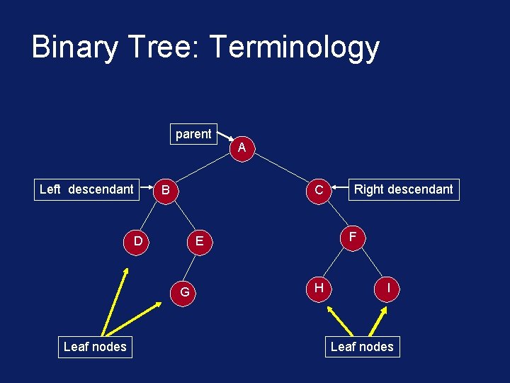 Binary Tree: Terminology parent Left descendant B C D Right descendant F E G