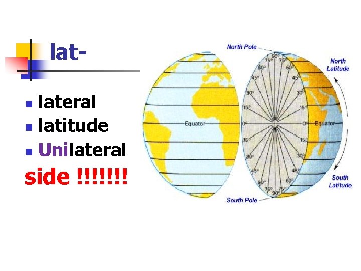 latlateral n latitude n Unilateral n side !!!!!!! 