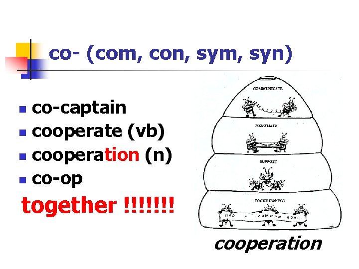 co- (com, con, sym, syn) co-captain n cooperate (vb) n cooperation (n) n co-op