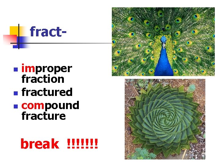 fractimproper fraction n fractured n compound fracture n break !!!!!!! 
