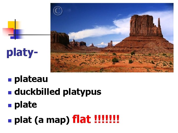 platyplateau n duckbilled platypus n plate n n plat (a map) flat !!!!!!! 