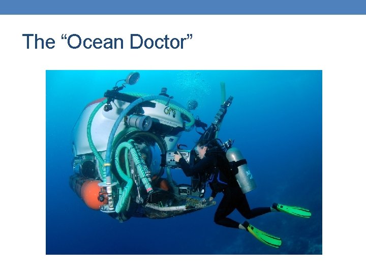 The “Ocean Doctor” The “Ocean Doctor”