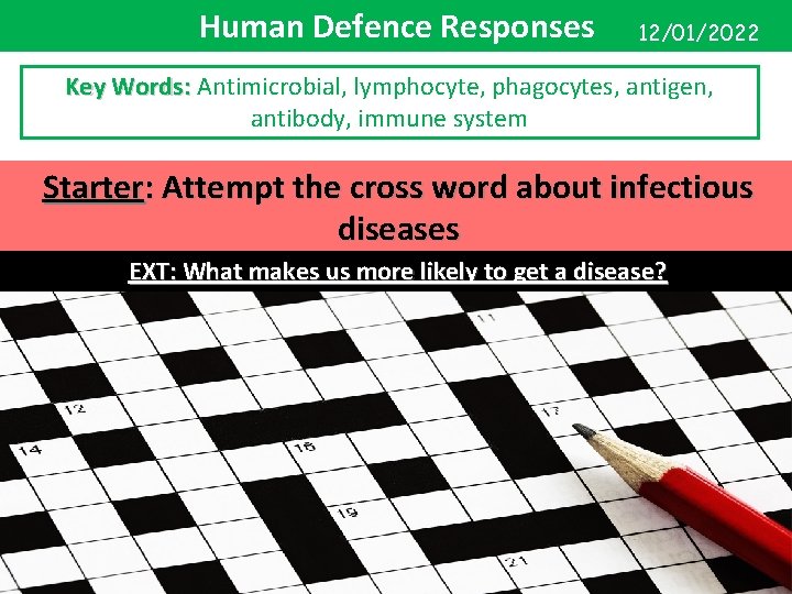 Human Defence Responses 12/01/2022 Key Words: Antimicrobial, lymphocyte, phagocytes, antigen, antibody, immune system Starter: