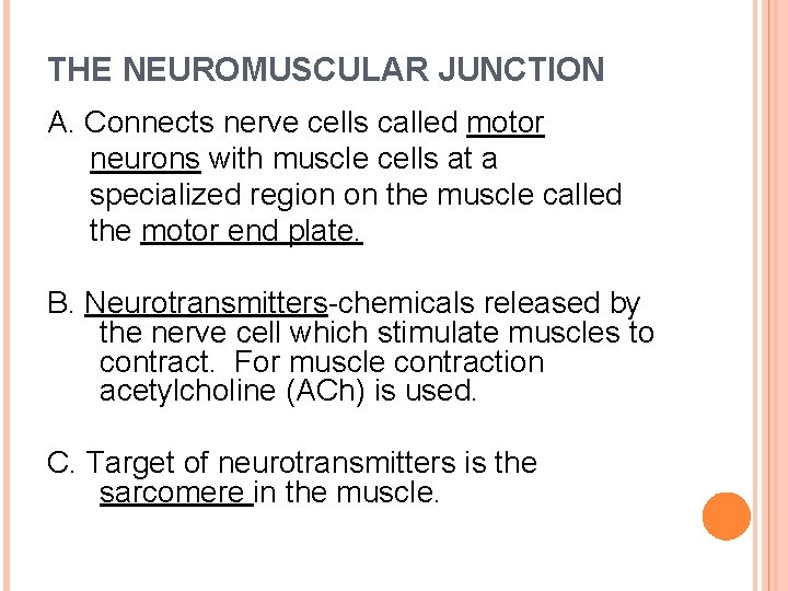 THE NEUROMUSCULAR JUNCTION A. Connects nerve cells called motor neurons with muscle cells at