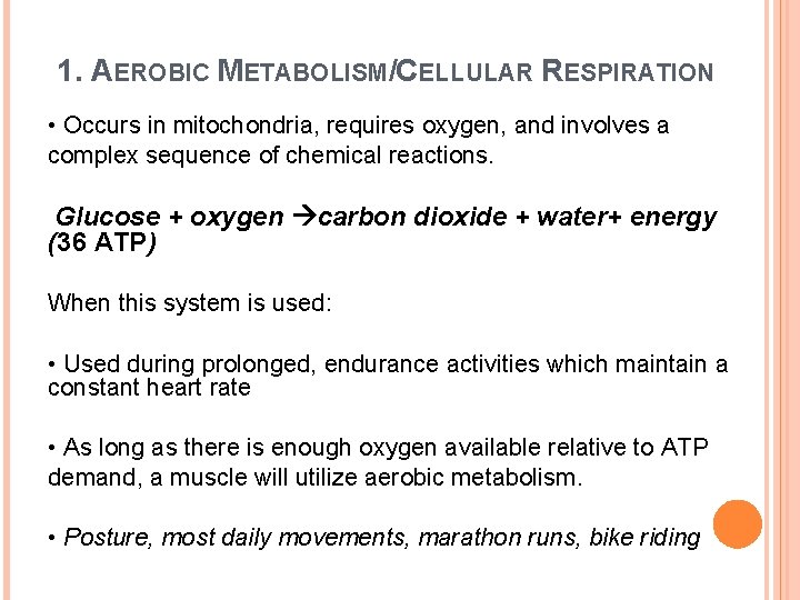 1. AEROBIC METABOLISM/CELLULAR RESPIRATION • Occurs in mitochondria, requires oxygen, and involves a complex