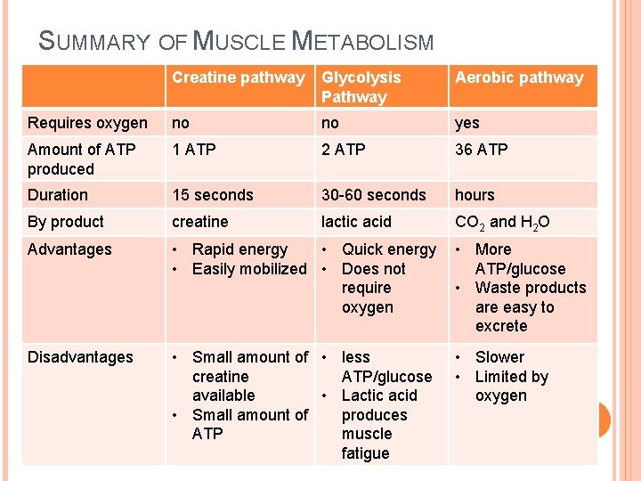 SUMMARY OF MUSCLE METABOLISM Creatine pathway Glycolysis Pathway Aerobic pathway Requires oxygen no no