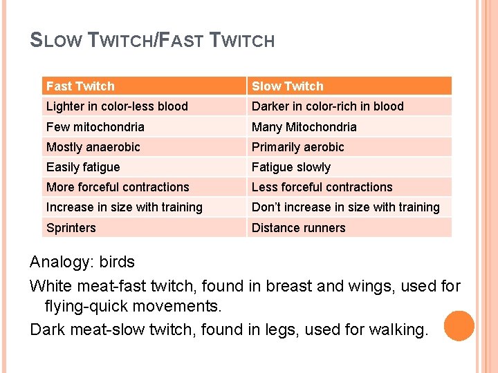 SLOW TWITCH/FAST TWITCH Fast Twitch Slow Twitch Lighter in color-less blood Darker in color-rich