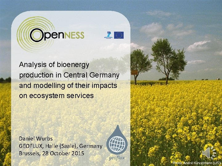 Analysis of bioenergy production in Central Germany and modelling of their impacts on ecosystem