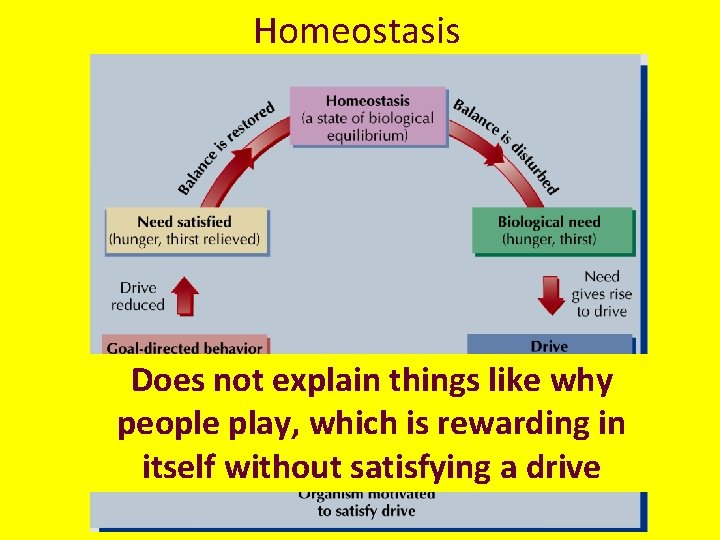 Homeostasis Does not explain things like why people play, which is rewarding in itself