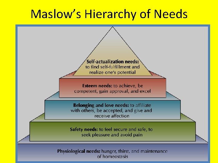 Maslow’s Hierarchy of Needs Copyright © Allyn & Bacon 2007 