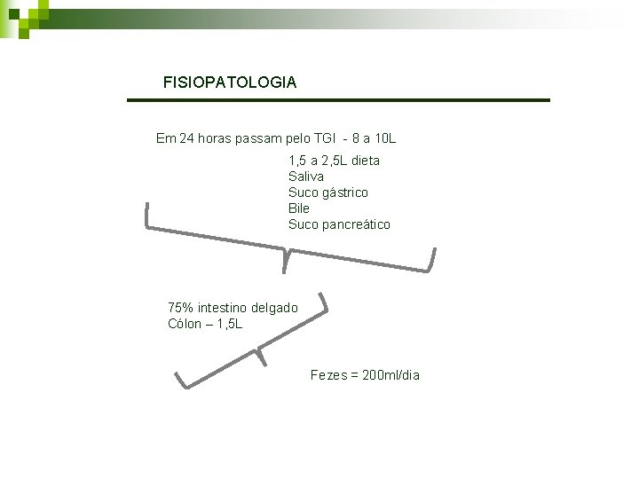 FISIOPATOLOGIA Em 24 horas passam pelo TGI - 8 a 10 L 1, 5 FISIOPATOLOGIA Em 24 horas passam pelo TGI - 8 a 10 L 1, 5
