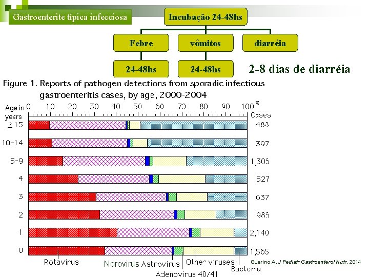 Incubação 24 -48 hs Gastroenterite típica infecciosa Febre vômitos 24 -48 hs Norovirus diarréia Incubação 24 -48 hs Gastroenterite típica infecciosa Febre vômitos 24 -48 hs Norovirus diarréia