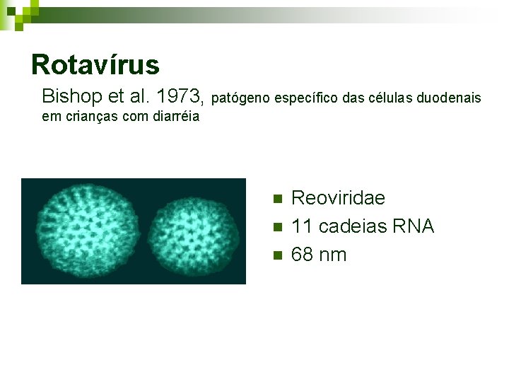Rotavírus Bishop et al. 1973, patógeno específico das células duodenais em crianças com diarréia Rotavírus Bishop et al. 1973, patógeno específico das células duodenais em crianças com diarréia