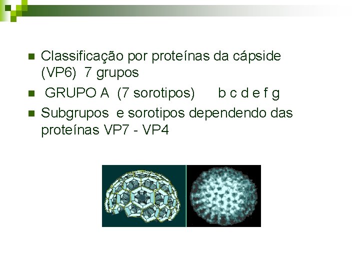 n n n Classificação por proteínas da cápside (VP 6) 7 grupos GRUPO A n n n Classificação por proteínas da cápside (VP 6) 7 grupos GRUPO A