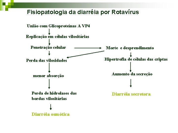 Fisiopatologia da diarréia por Rotavírus União com Glicoproteínas A VP 4 Replicação em células Fisiopatologia da diarréia por Rotavírus União com Glicoproteínas A VP 4 Replicação em células