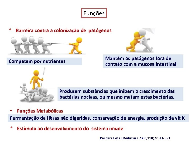 Funções • Barreira contra a colonização de patógenos Competem por nutrientes Mantém os patógenos Funções • Barreira contra a colonização de patógenos Competem por nutrientes Mantém os patógenos