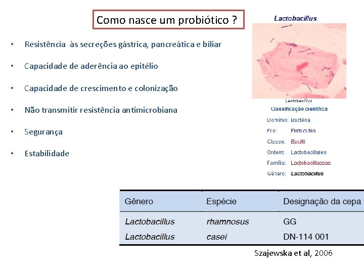 Como nasce um probiótico ? • Resistência às secreções gástrica, pancreática e biliar • Como nasce um probiótico ? • Resistência às secreções gástrica, pancreática e biliar •