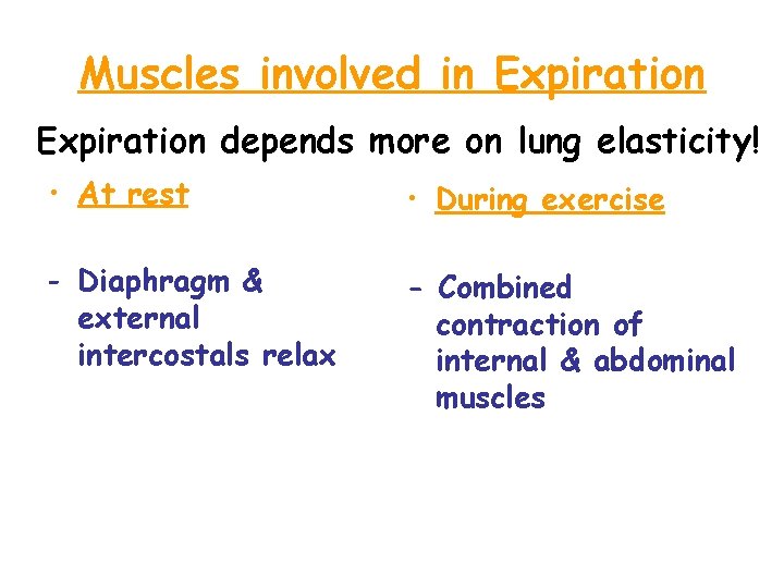 Muscles involved in Expiration depends more on lung elasticity! • At rest • During