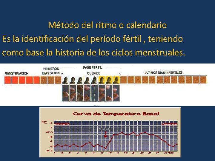 Método del ritmo o calendario Es la identificación del período fértil , teniendo como