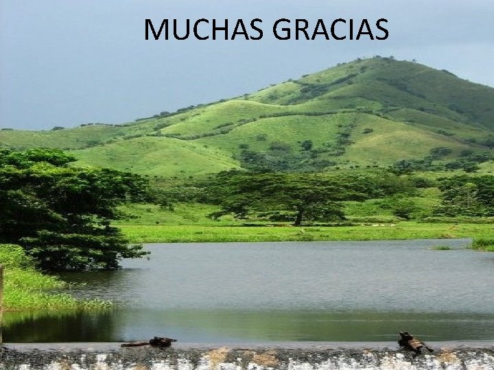 MUCHAS GRACIAS 