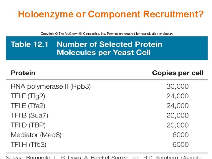 Holoenzyme or Component Recruitment? 