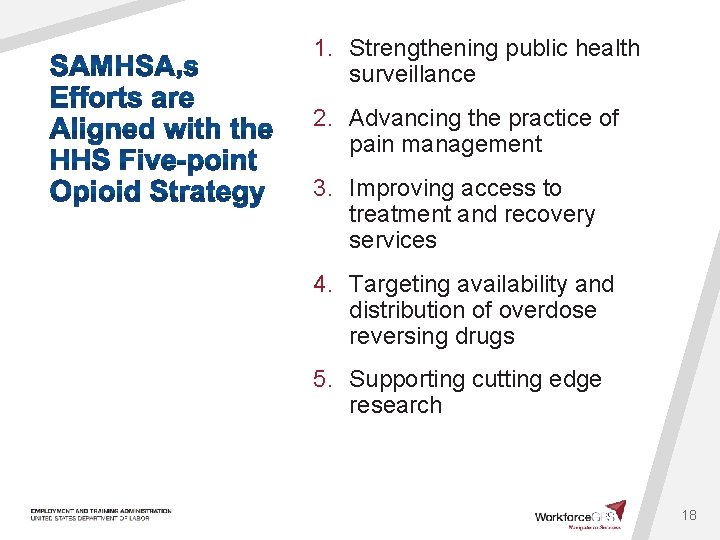 1. Strengthening public health surveillance 2. Advancing the practice of pain management 3. Improving
