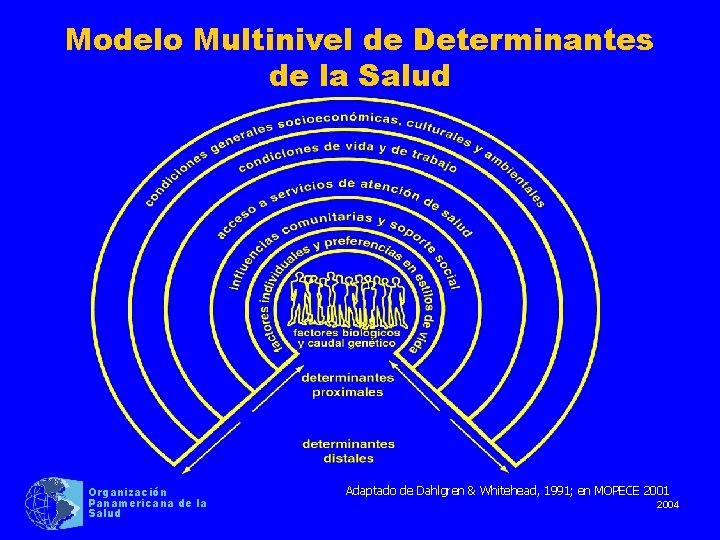 Modelo Multinivel de Determinantes de la Salud Organización Panamericana de la Salud Adaptado de Modelo Multinivel de Determinantes de la Salud Organización Panamericana de la Salud Adaptado de