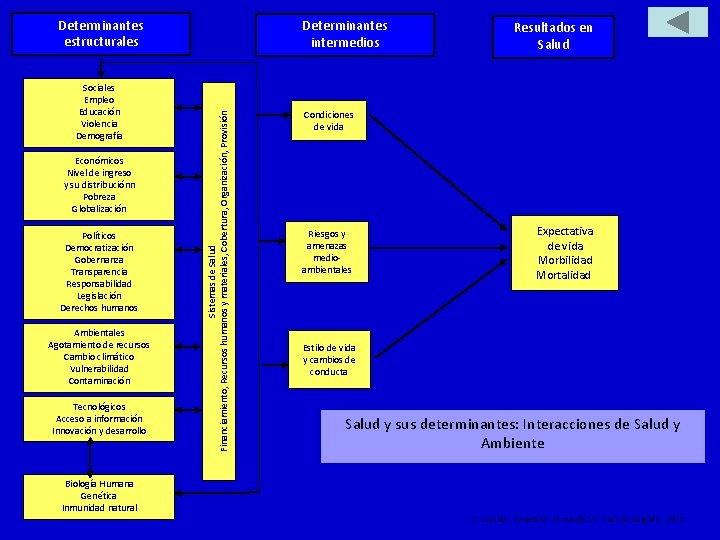 Determinantes estructurales Económicos Nivel de ingreso y su distribuciónn Pobreza Globalización Políticos Democratización Gobernanza Determinantes estructurales Económicos Nivel de ingreso y su distribuciónn Pobreza Globalización Políticos Democratización Gobernanza