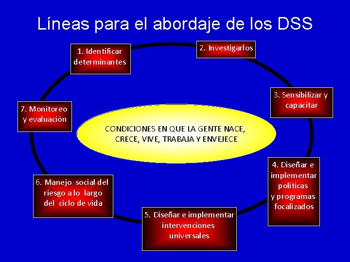 Líneas para el abordaje de los DSS 1. Identificar determinantes 7. Monitoreo y evaluación Líneas para el abordaje de los DSS 1. Identificar determinantes 7. Monitoreo y evaluación