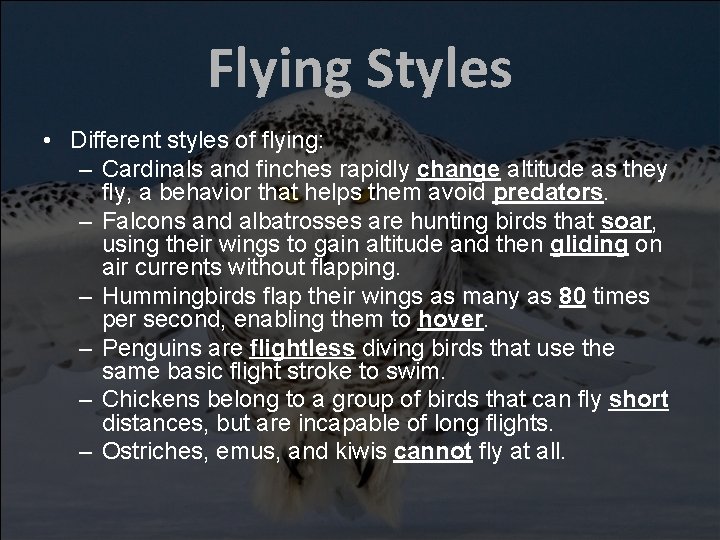 Flying Styles • Different styles of flying: – Cardinals and finches rapidly change altitude