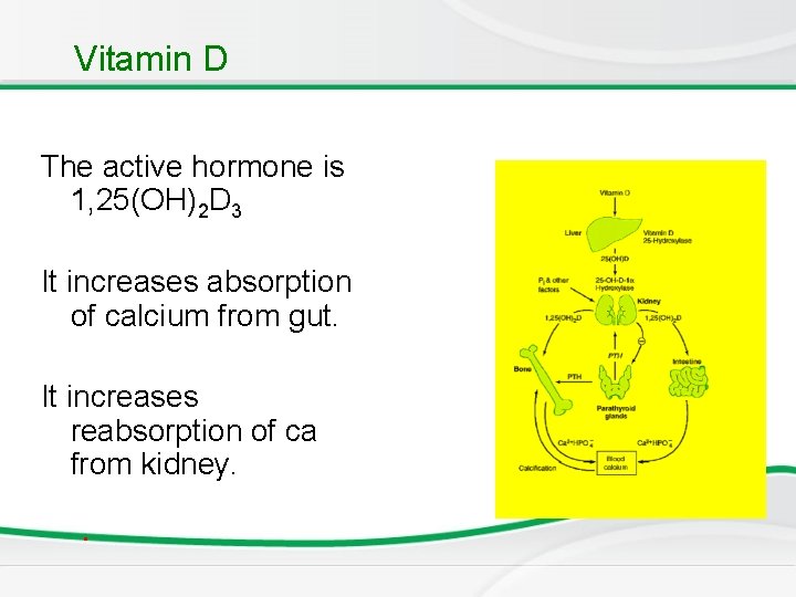 Vitamin D The active hormone is 1, 25(OH)2 D 3 It increases absorption of