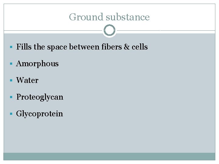 Ground substance § Fills the space between fibers & cells § Amorphous § Water