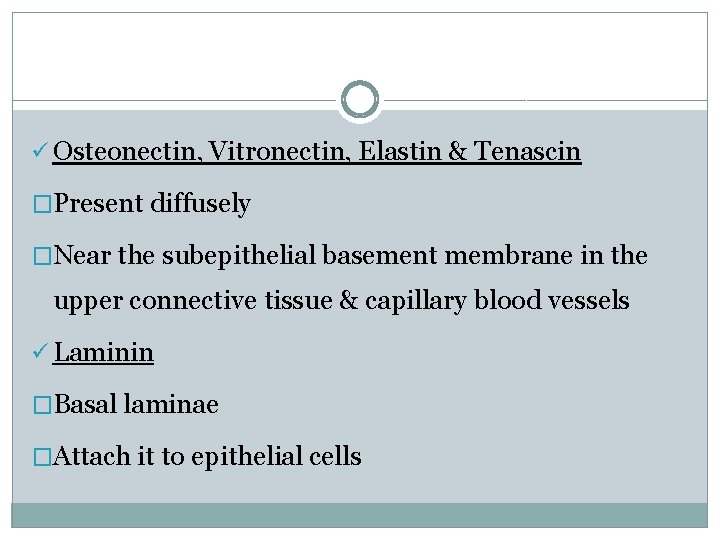 ü Osteonectin, Vitronectin, Elastin & Tenascin �Present diffusely �Near the subepithelial basement membrane in