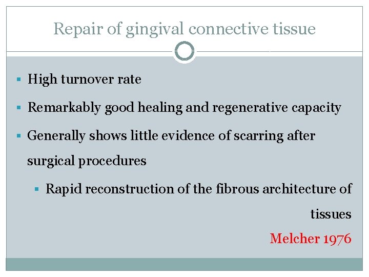 Repair of gingival connective tissue § High turnover rate § Remarkably good healing and