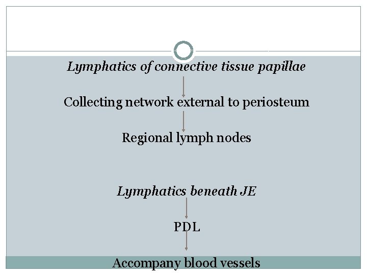 Lymphatics of connective tissue papillae Collecting network external to periosteum Regional lymph nodes Lymphatics