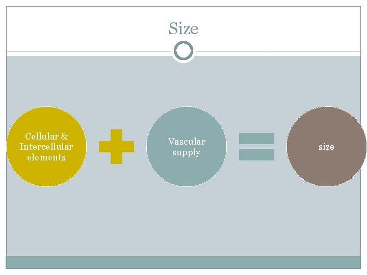 Size Cellular & Intercellular elements Vascular supply size Size Cellular & Intercellular elements Vascular supply size