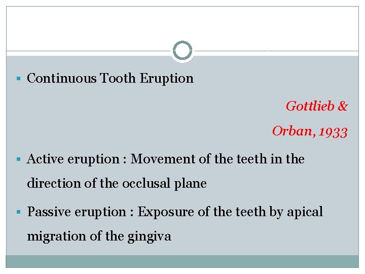 § Continuous Tooth Eruption Gottlieb & Orban, 1933 § Active eruption : Movement of