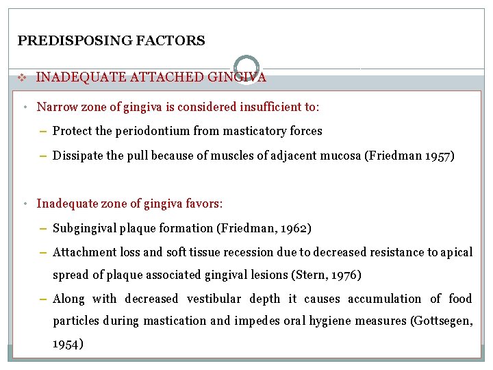PREDISPOSING FACTORS v INADEQUATE ATTACHED GINGIVA • Narrow zone of gingiva is considered insufficient