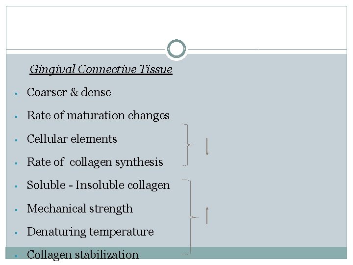 Gingival Connective Tissue § Coarser & dense § Rate of maturation changes § Cellular