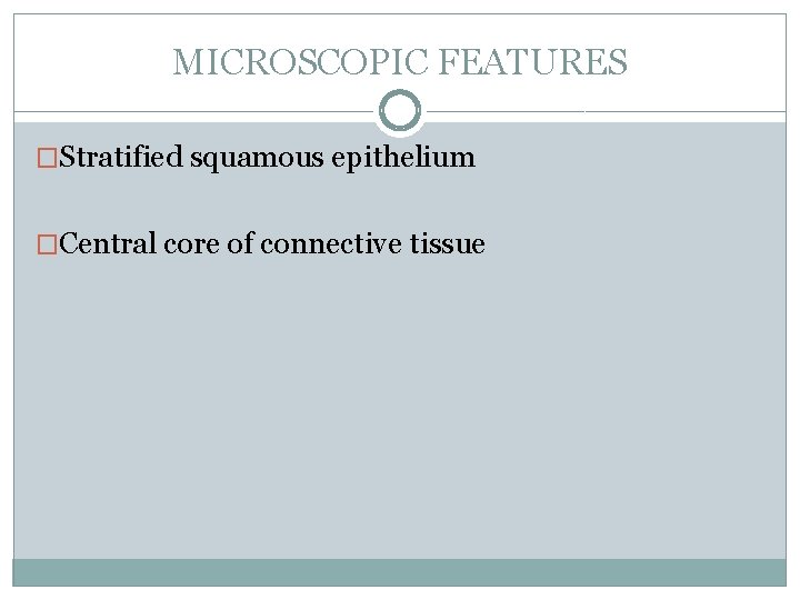 MICROSCOPIC FEATURES �Stratified squamous epithelium �Central core of connective tissue 