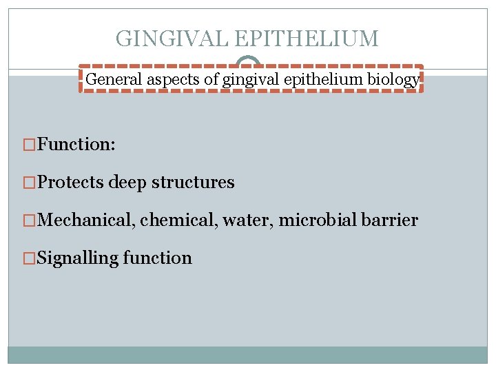 GINGIVAL EPITHELIUM General aspects of gingival epithelium biology �Function: �Protects deep structures �Mechanical, chemical,