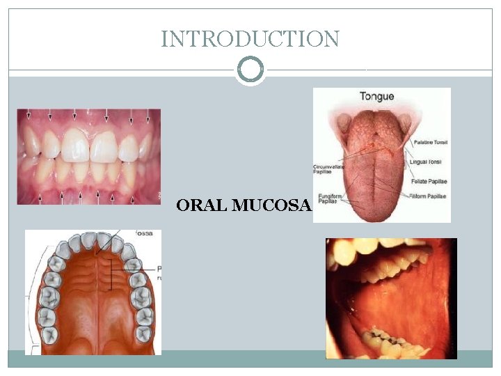 INTRODUCTION ORAL MUCOSA 