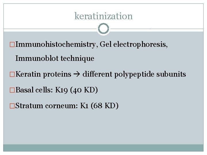 keratinization �Immunohistochemistry, Gel electrophoresis, Immunoblot technique �Keratin proteins different polypeptide subunits �Basal cells: K