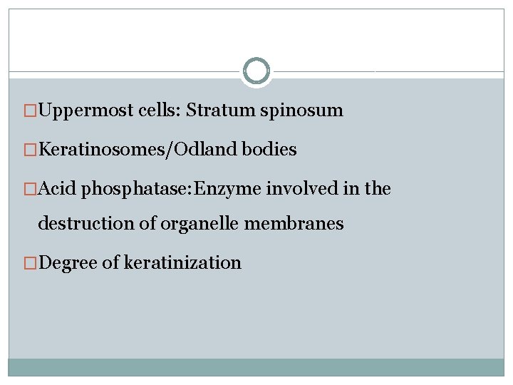 �Uppermost cells: Stratum spinosum �Keratinosomes/Odland bodies �Acid phosphatase: Enzyme involved in the destruction of