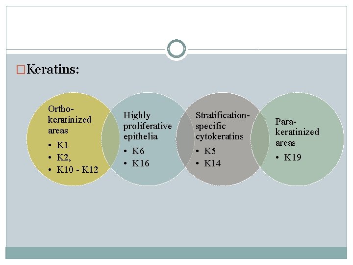 �Keratins: Orthokeratinized areas • K 1 • K 2, • K 10 - K
