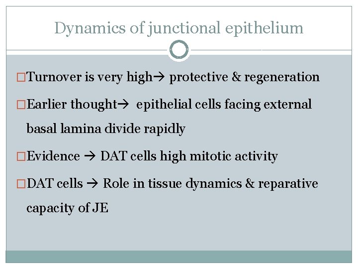 Dynamics of junctional epithelium �Turnover is very high protective & regeneration �Earlier thought epithelial