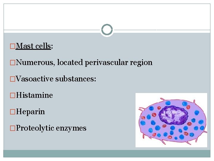 �Mast cells: �Numerous, located perivascular region �Vasoactive substances: �Histamine �Heparin �Proteolytic enzymes 